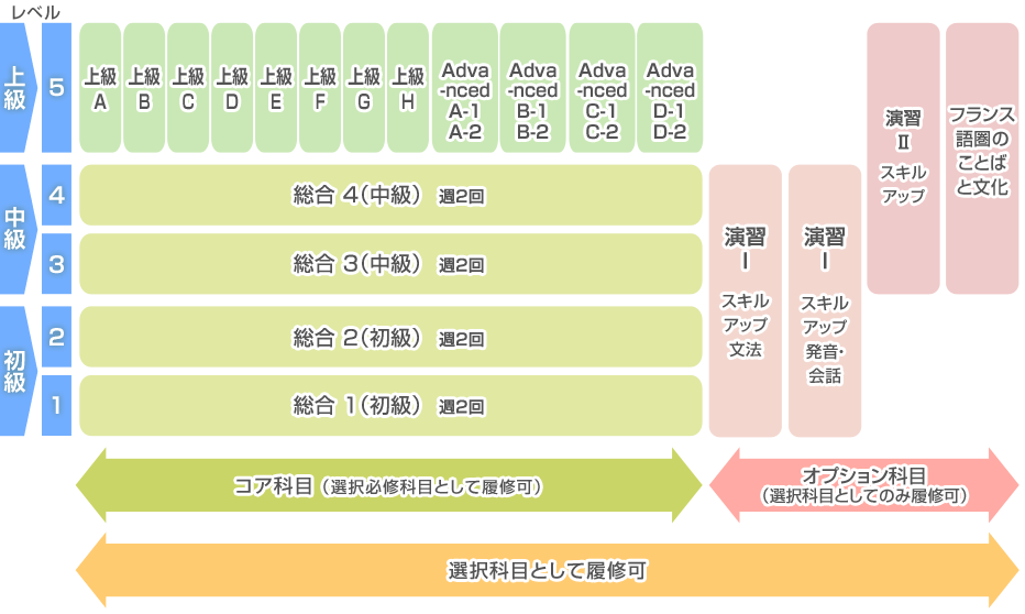 授業の紹介 フランス語 上智で学べる外国語 上智大学 言語教育研究センター